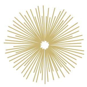 Viceroy Brickell Residences