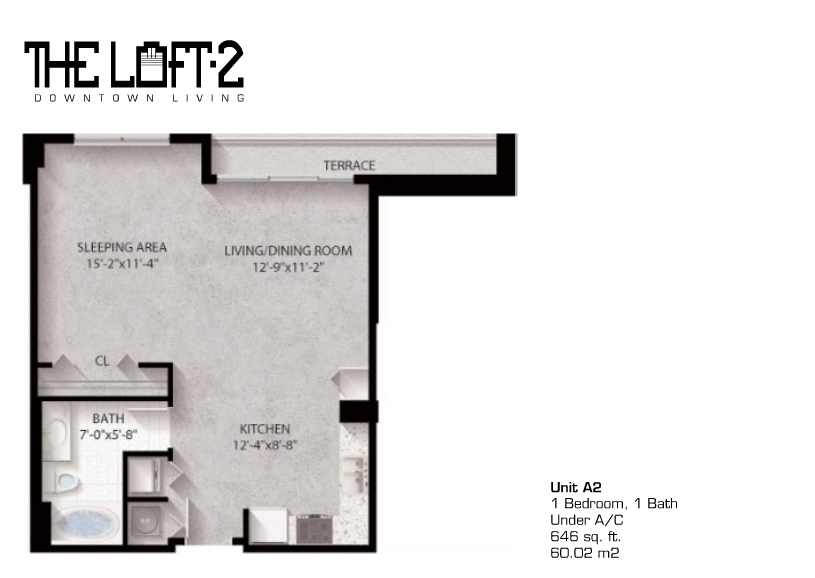 Loft Downtown II Unit A2