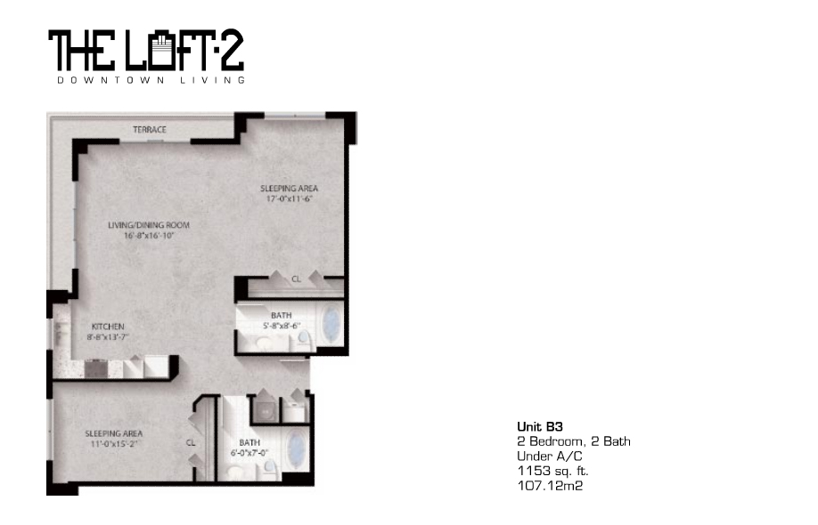 Loft Downtown II Unit B3